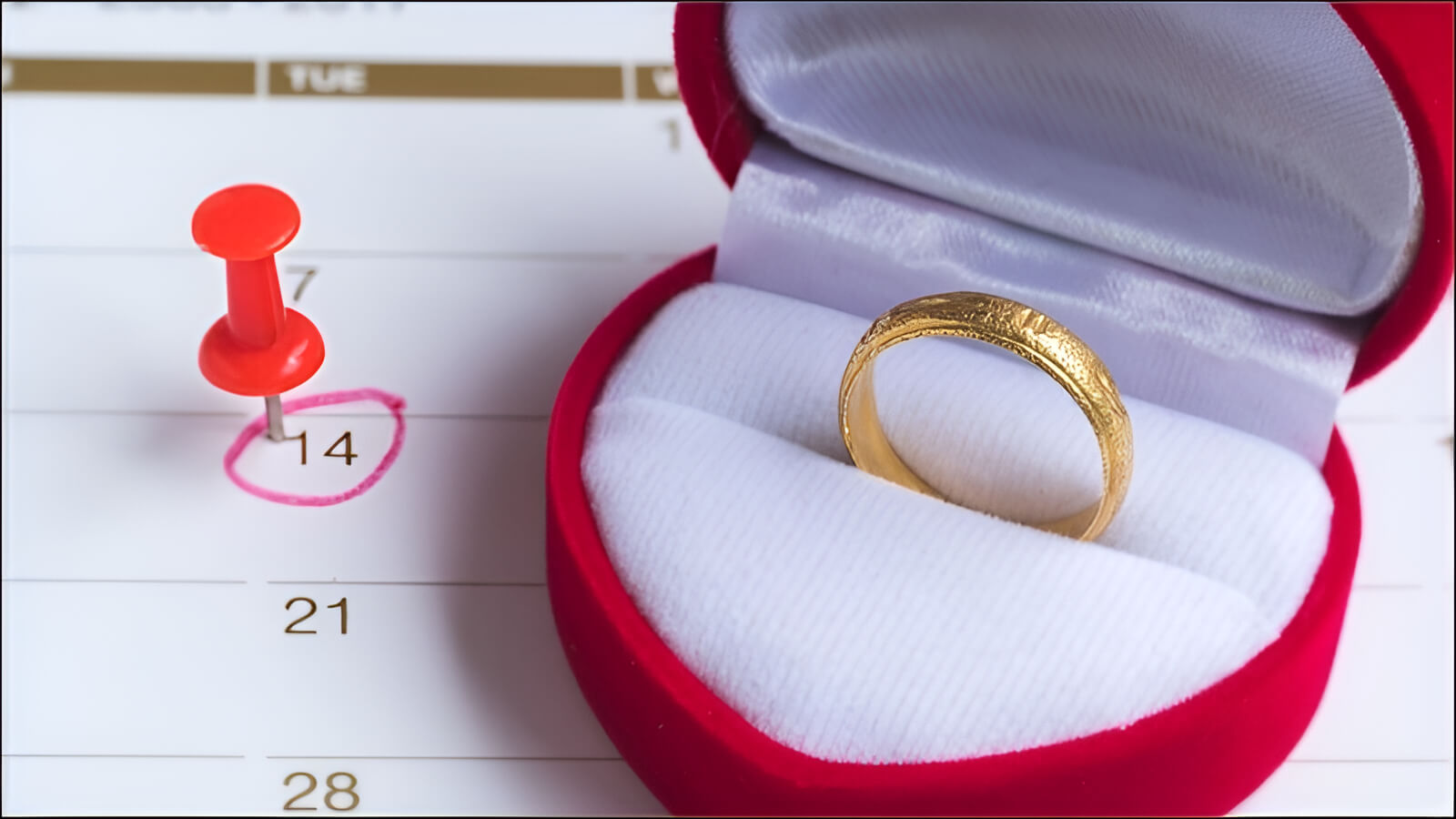 So sánh cặp nhẫn cưới vàng và bạch kim đặt cạnh nhau.