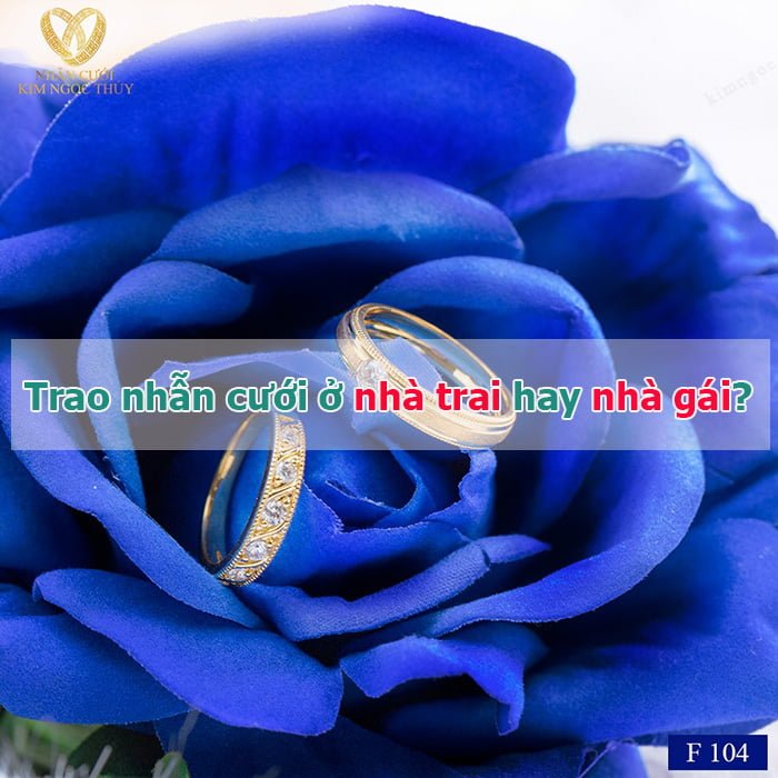 Ảnh chụp macro của hai chiếc nhẫn cưới nằm trên hoa hồng trắng  Thư viện  stock vector đẹp miễn phí