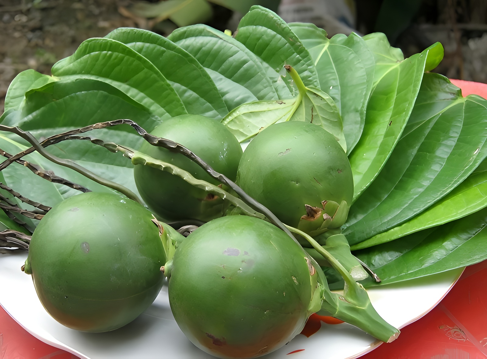 Cách chọn cau tươi, lá trầu đẹp.