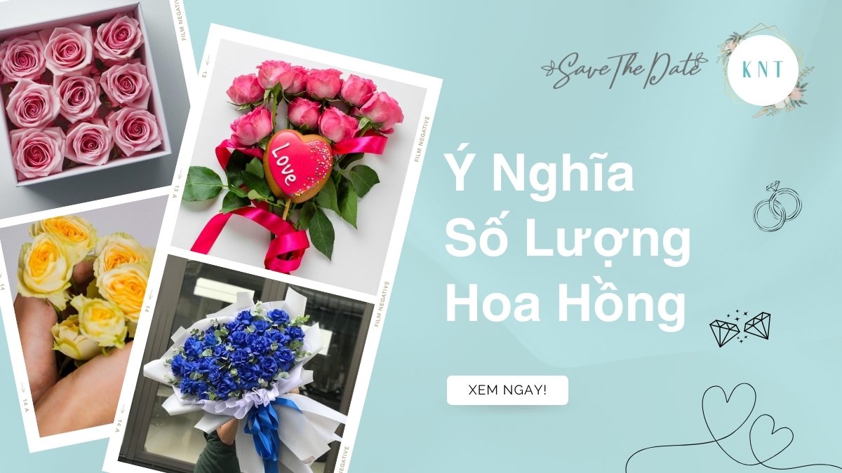 Ý Nghĩa Số Lượng Hoa Hồng: Giải Mã Thông Điệp Tình Yêu