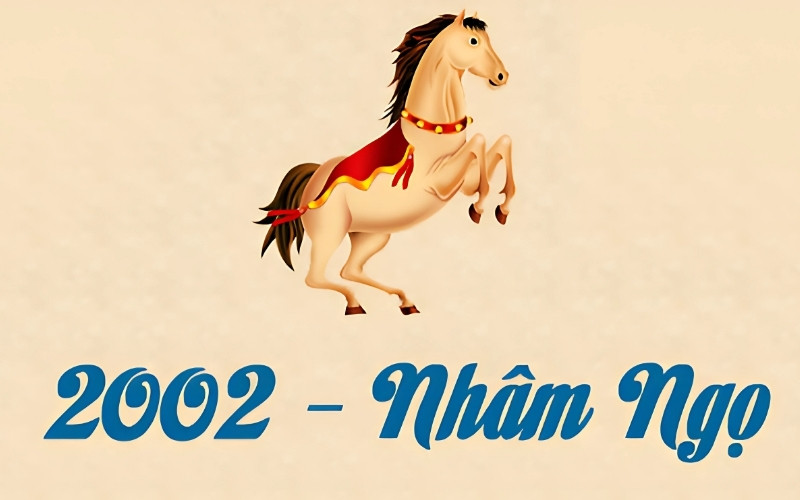 Những cô gái sinh năm Nhâm Ngọ 2002 thường sở hữu nét tính cách khá đặc biệt