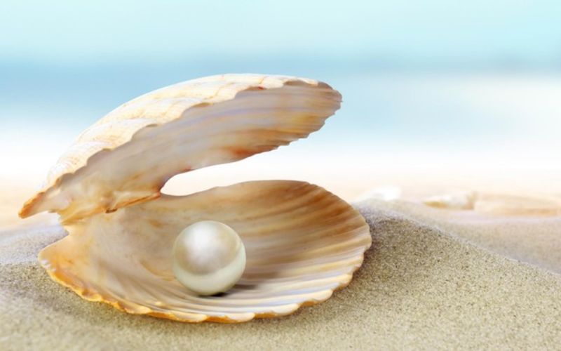 Ngọc trai, hay còn gọi là trân châu, là một vật thể cứng, hình cầu được tạo ra bởi các loài động vật thân mềm, chủ yếu là loài trai